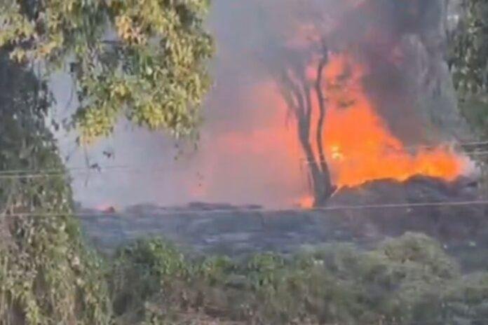 Dhanbad News: बाजार समिति फलमंडी के समीप कचरे के ढेर में लगी आग