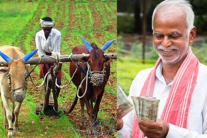 Ranchi News: मिलेट मिशन से जुड़े झारखंड के किसानों के लिए खुशखबरी