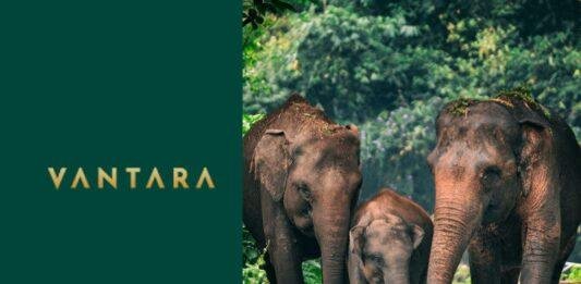 Indonesia में EEHV से हो रही सुमात्राई हाथियों की मौत, बेहतर इलाज के लिए वनतारा कर रहा मदद