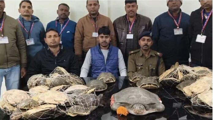 ‘ऑपरेशन विलेप’ इन एक्शन: नेताजी एक्सप्रेस से 76 जिंदा कछुआ बरामद, वन विभाग को सौंपा गया