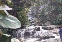 Dhardhariya Waterfall: नए साल पर धरधरिया जलप्रपात बना सैलानियों की पसंद नए साल पर धरधरिया जलप्रपात बना सैलानियों की पसंद