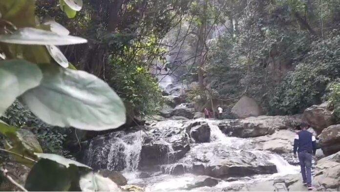 नए साल पर धरधरिया जलप्रपात बना सैलानियों की पसंद