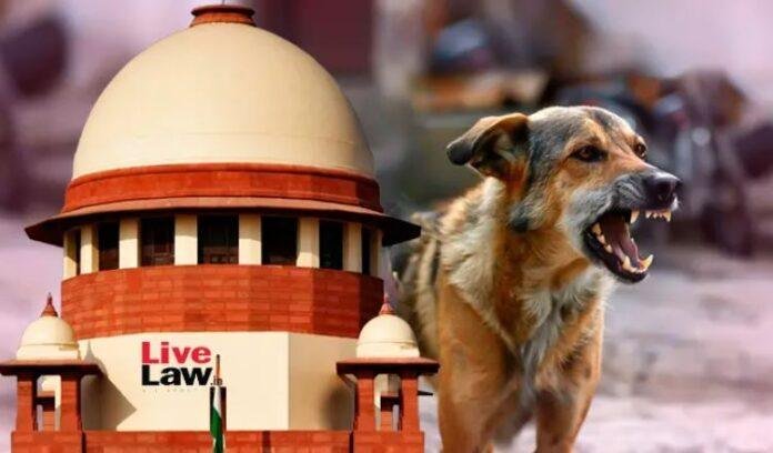 Supreme Court Dog Bite: आवारा कुत्तों पर Supreme Court सख्त, Dog Bite और मौत पर भारी जुर्माना, खाना खिलाने वाले भी होंगे जिम्मेदार