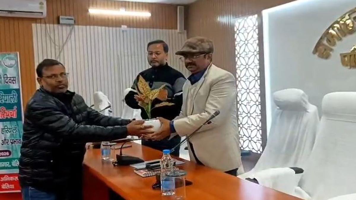 Betia 2 22Scope News