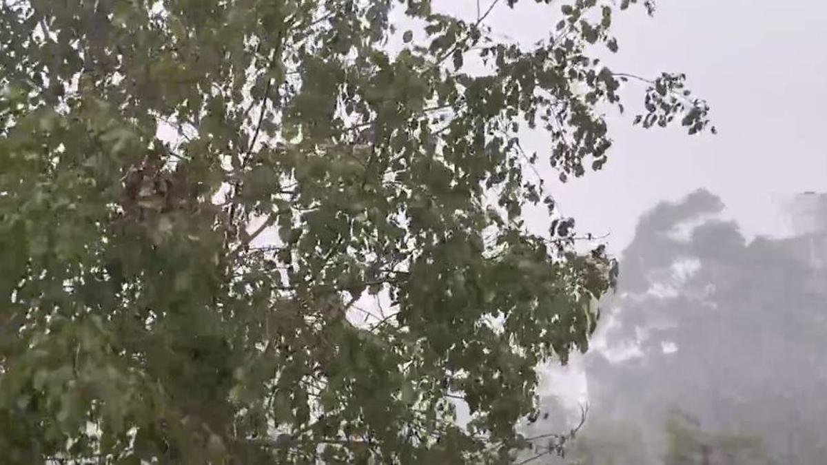 पहाड़ों पर हो रही बर्फबारी, सर्द पछुआ हवा से बिहार के कई जिले झेल रहे भीषण ठंड की मार | 22Scope News Bhagalpur Thand 3 22Scope News