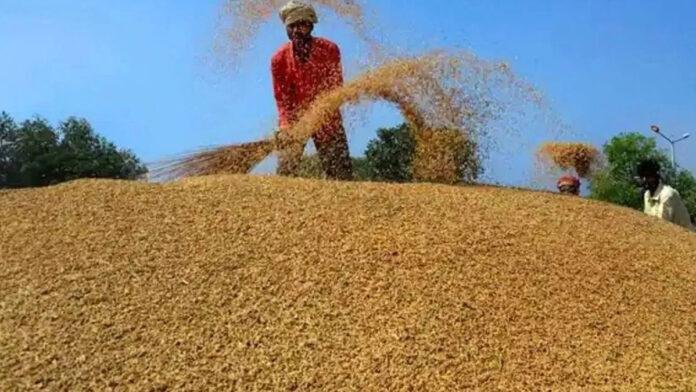 किसानों के लिए राहत की खबर, सरकार धान की खरीद पर 24 घंटे के अंदर करेगी भुगतान