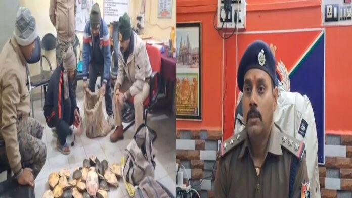 नेताजी एक्सप्रेस ट्रेन के जनरल कोच से लावारिस हालत में 11 बोरी में बंद 311 कछुआ बरामद