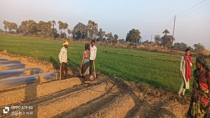 अजब-गजब : जहां थी कभी बंजर जमीन, आज वहां लहरा रही स्ट्रॉबेरी-तरबूज की फसल