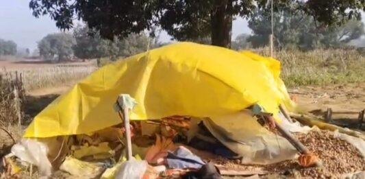 Hazaribagh: चुटियारो गांव में जंगली हाथी का तांडव, किसान परिवार को कुचला