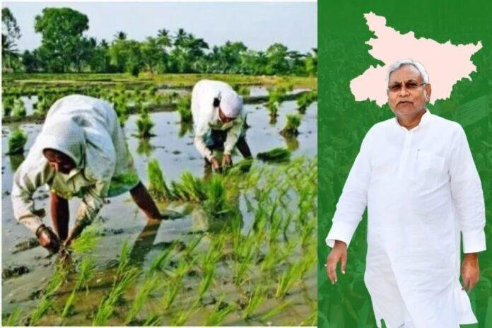 Patna News: 694 नए पद, किसानों की फसलें अब सुरक्षित, कैबिनेट का बड़ा कदम