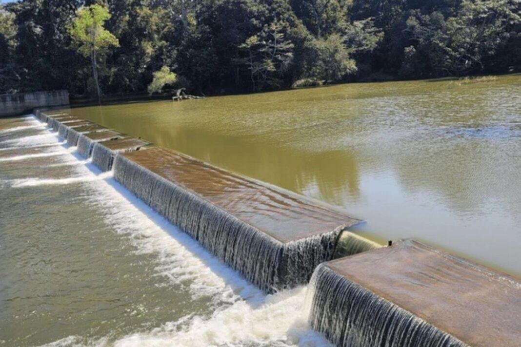 Patna News: पानी बचाने की मुहिम में बिहार आगे