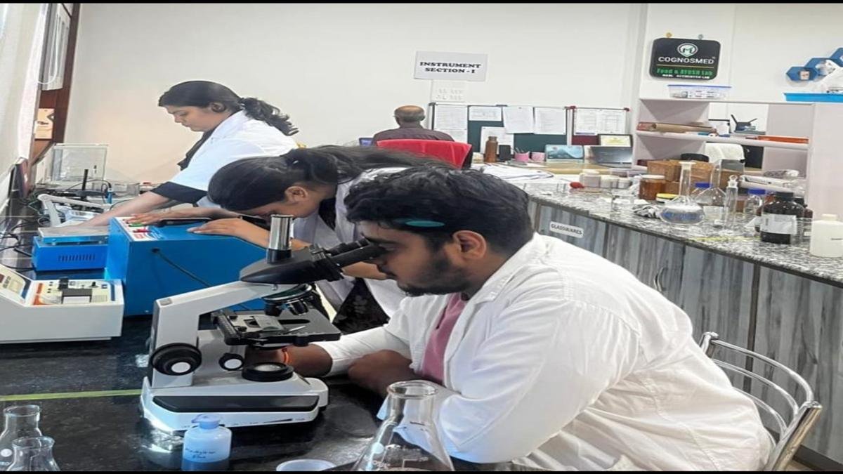 देसी ड्रिंक को मिला ग्लोबल पहचान, स्टार्टअप आईडिया ने दिलाया विदेशों में सम्मान | 22Scope News Desi Drink 3 22Scope News