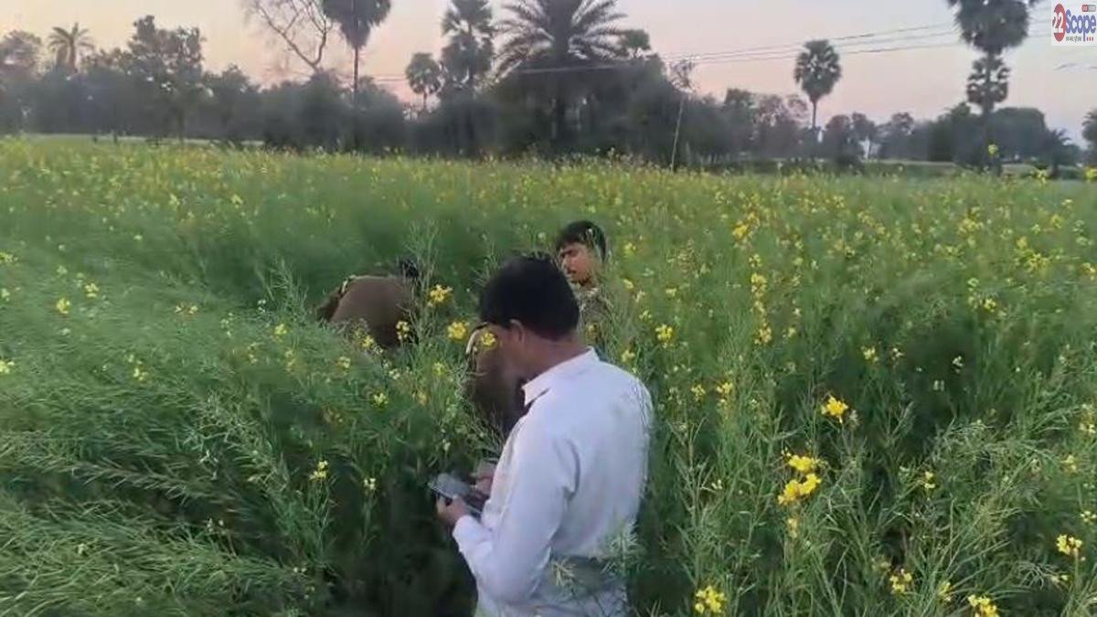 Gaya Hatya 2 22Scope News