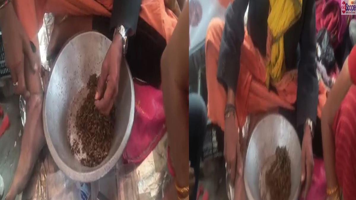 बलुआ चौक से 100 ग्राम गांजा बरामद, एक गिरफ्तार | 22Scope News Motihari Ganja 22Scope News