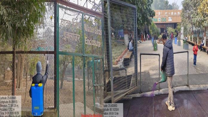 PatnaZoo : बर्ड फ्लू से सतर्क संजय गांधी जैविक उद्यान, जू में विशेष सुरक्षा व्यवस्था लागू