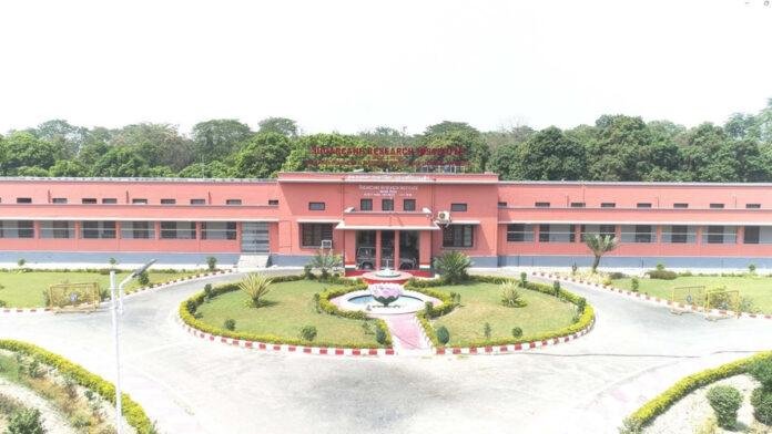 केंद्र सरकार की बड़ी मंजूरी, पूसा गन्ना अनुसंधान केंद्र होगा गुड़ उत्पादन का सेंटर ऑफ एक्सीलेंस