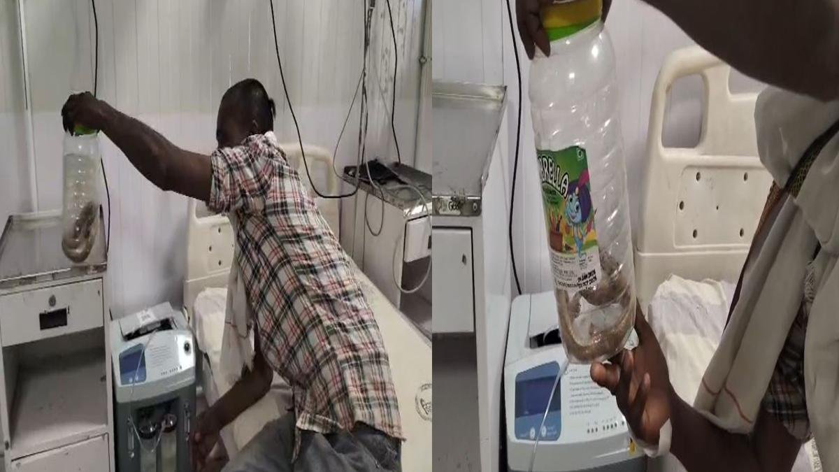 युवक को सांप ने काटा, फिर पकड़ कर डिब्बे में बंद कर सीधा पहुंचा सदर अस्पताल | 22Scope News Sitamarhi Snak 1 1 22Scope News