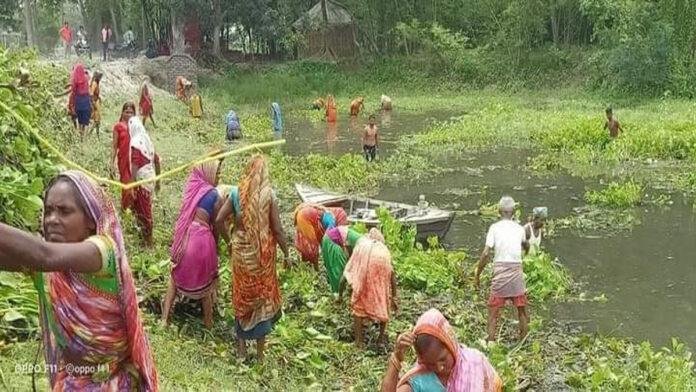 कचरा नहीं कमाल : जलकुंभी से मखाने की खेती में क्रांति