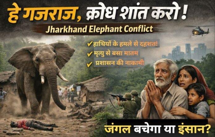 हे गजराज, क्रोध शांत करो: Jharkhand Elephant Conflict पर व्यवस्था और विकास की विडंबना