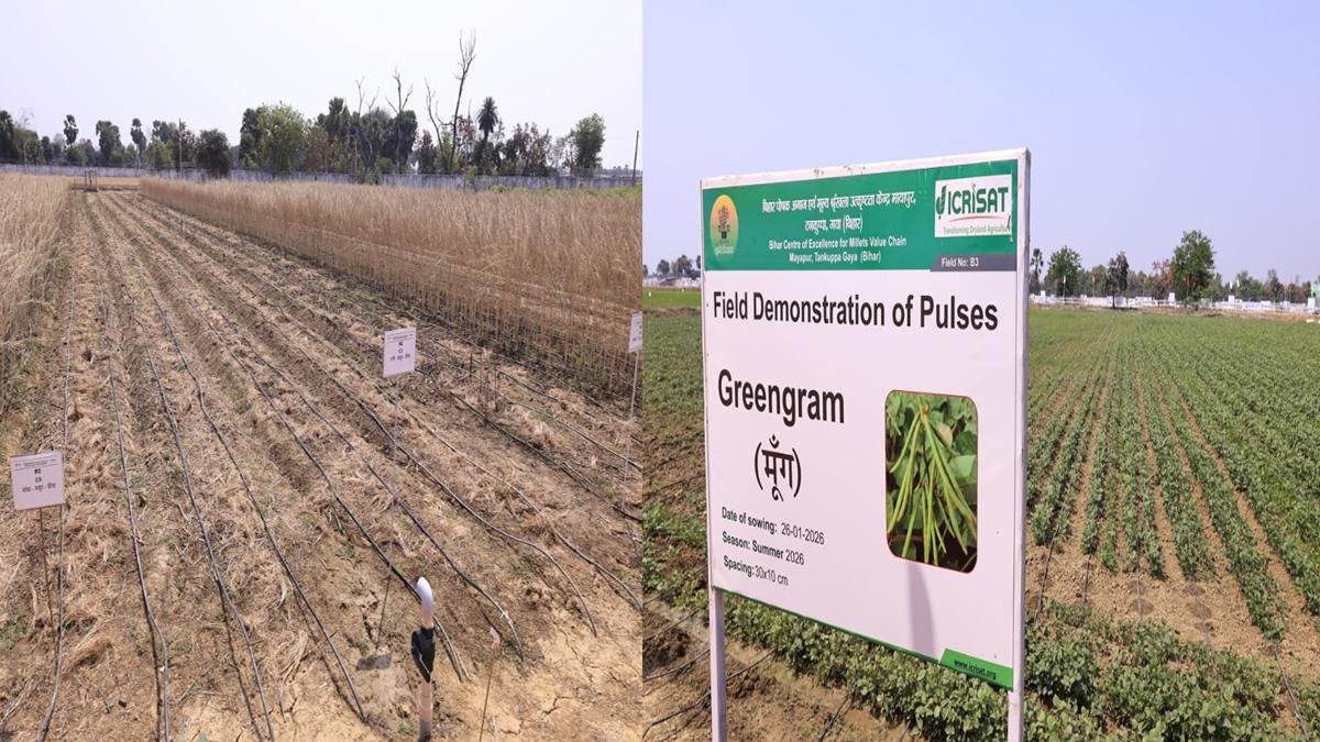 CM Gaya 6 22Scope News