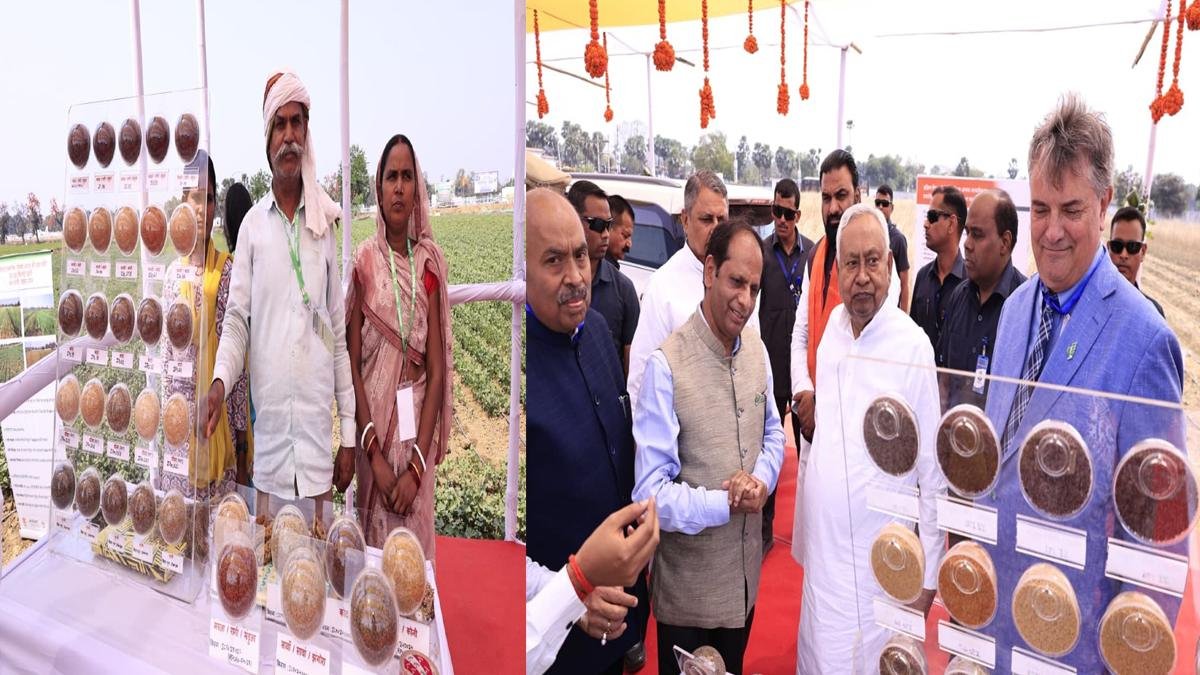 CM Gaya 7 22Scope News