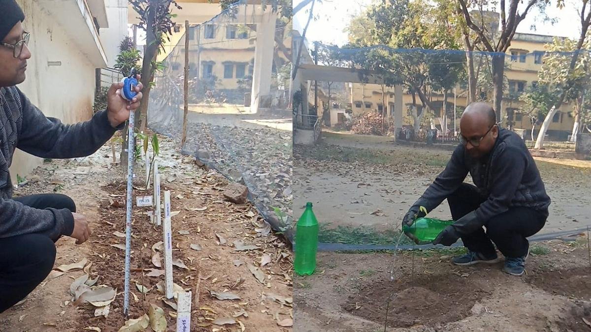 Dragon Fruit 1 22Scope News