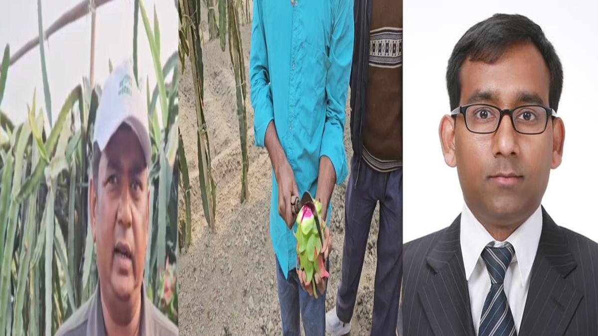 Dragon Fruit 4 22Scope News