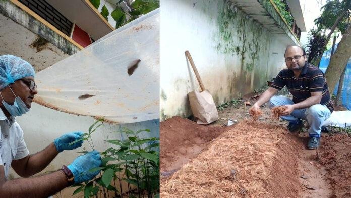 अब खेतों में उग रही है 'कमाई', ड्रैगन फ्रूट और रबड़ से बदल रही खेती की तस्वीर