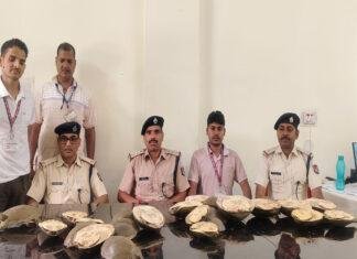 गयाजी रेलवे स्टेशन पर बड़ी कार्रवाई, 28 जीवित कछुए बरामद, वन विभाग को किया गया सुपुर्द गयाजी रेलवे स्टेशन पर बड़ी कार्रवाई, 28 जीवित कछुए बरामद, वन विभाग को किया गया सुपुर्द