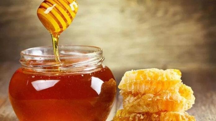 सरकार ने बनाई नई व्यवस्था, शहद से मीठी होगी किसानों की कमाई?
