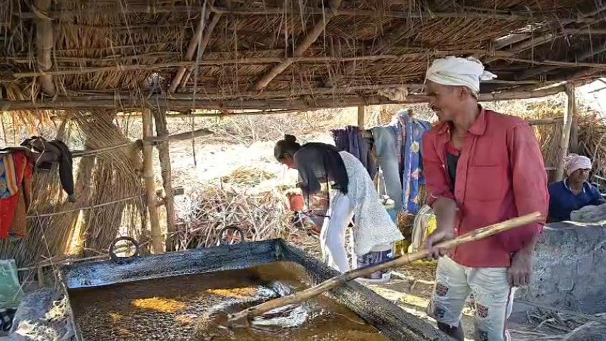 Jaggery 3 22Scope News