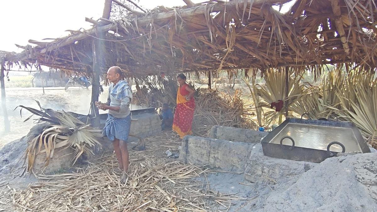 Jaggery 6 22Scope News