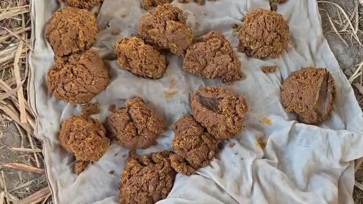 Jaggery 7 22Scope News