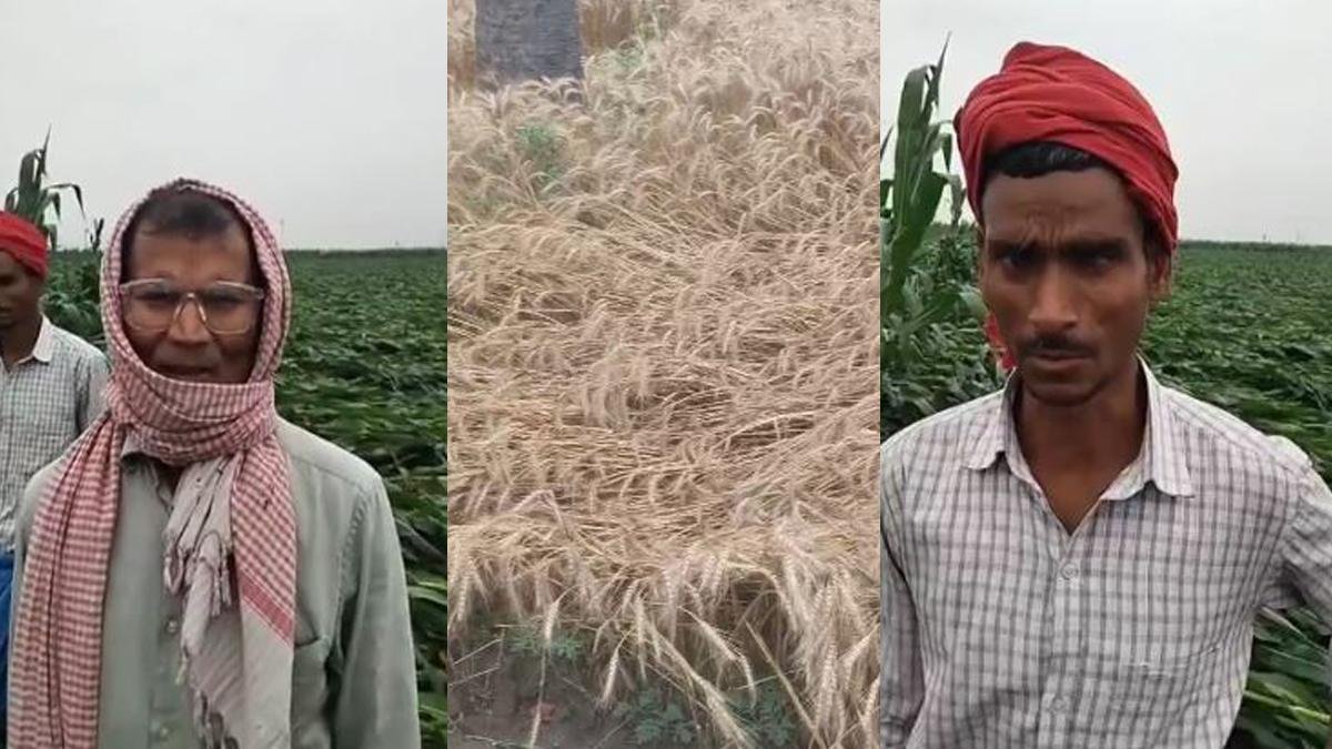 Khagaria Fasal 1 22Scope News