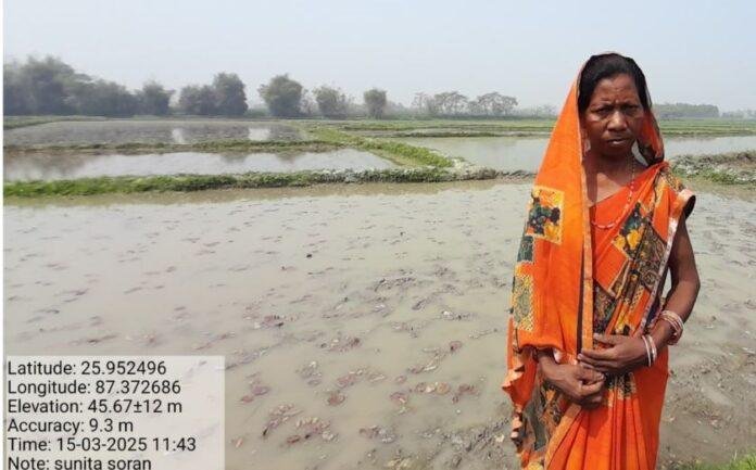 Bihar Makhana Farming News: उजला सोना बना मखाना, 50125 हेक्टेयर खेती से किसानों को नई उम्मीद