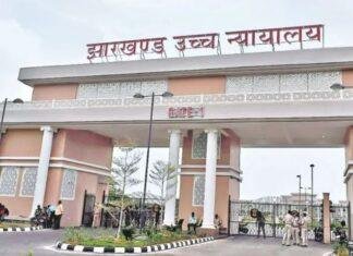 9 महीने बाद मिला कंकाल, अब तक नहीं हुआ DNA टेस्ट; हाईकोर्ट ने पुलिस को लगाई फटकार DNA