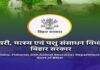 39 हजार टन मछलियों का निर्यात, राष्ट्रीय व अंतर्राष्ट्रीय बाजार में बढ़ी बिहार के मछलियों की मांग