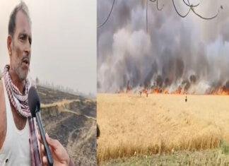 खेत में लगी भीषण आग, करीब एक हजार बीघा में लगी फसल जलकर खाक
