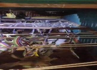 पुलिस की बड़ी कार्रवाई, एक कंटेनर से भारी मात्रा में जानवर बरामद