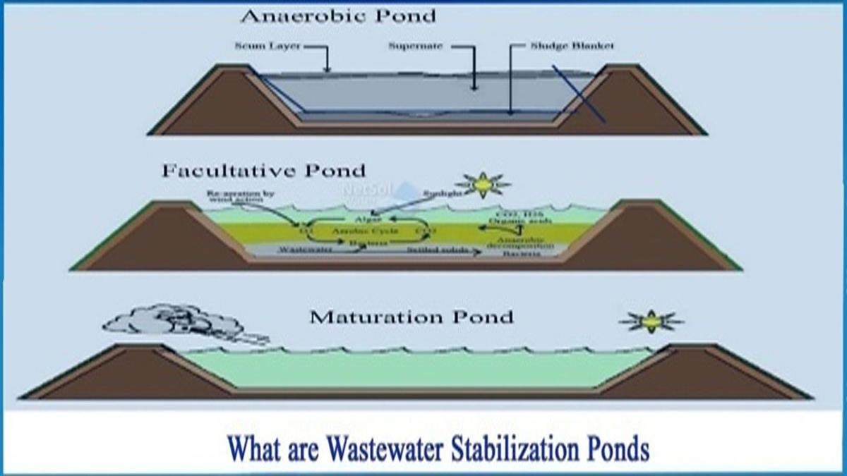 Munger Model 2 22Scope News