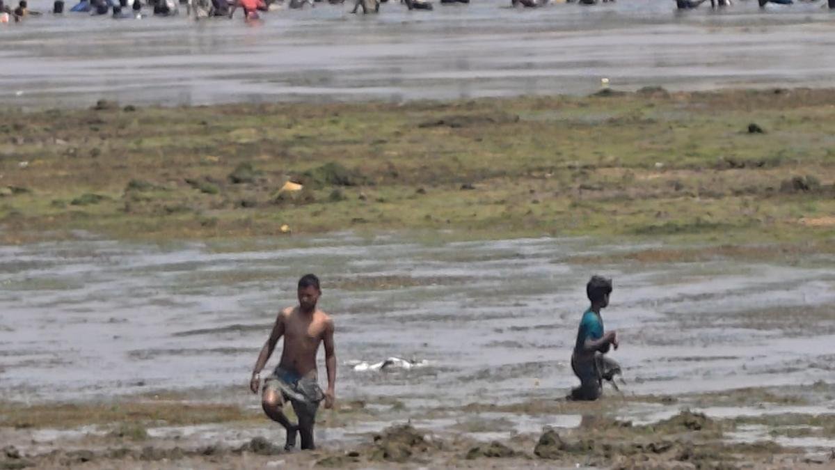 Rubber Dam 1 22Scope News