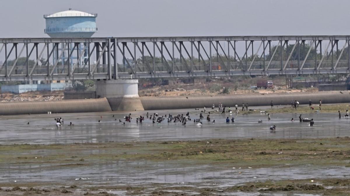 Rubber Dam 2 22Scope News