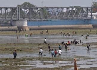 रबर डैम से छोड़ा गया पानी, फल्गु नदी में मछलियों की लूट, प्रशासन की चेतावनी के बीच उमड़ा मजमा