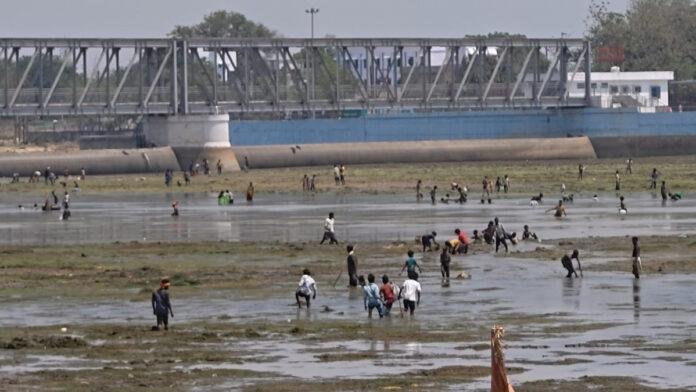 रबर डैम से छोड़ा गया पानी, फल्गु नदी में मछलियों की लूट, प्रशासन की चेतावनी के बीच उमड़ा मजमा