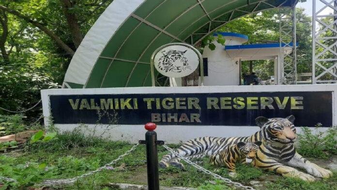 बिहार बन रहा वाइल्डलाइफ टूरिज्म हब, बाघ, डॉल्फिन, सफारी व पक्षी विहार देखने बड़ी संख्या में पहुंच रहे पर्यटक