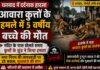 Dog Attack News: आवारा कुत्तों के हमले में 5 वर्षीय बच्चे की दर्दनाक मौत, इलाके में आक्रोश