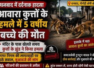 Dog Attack News: आवारा कुत्तों के हमले में 5 वर्षीय बच्चे की दर्दनाक मौत, इलाके में आक्रोश