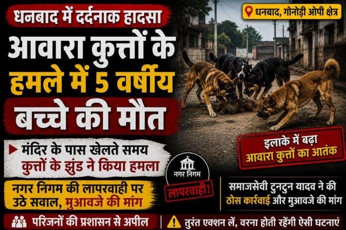 Dog Attack News: आवारा कुत्तों के हमले में 5 वर्षीय बच्चे की दर्दनाक मौत, इलाके में आक्रोश