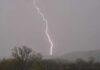 Ramgarh Lightning Tragedy: सीएम हेमंत सोरेन के पैतृक गांव नेमरा में वज्रपात से 26 मवेशियों की मौत