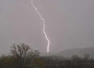 Ramgarh Lightning Tragedy: सीएम हेमंत सोरेन के पैतृक गांव नेमरा में वज्रपात से 26 मवेशियों की मौत